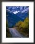 Road To Red Rock Canyon, Waterton Lakes National Park, Alberta, Canada by Lawrence Worcester Limited Edition Print