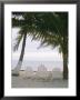 White Beach Chairs Line The Shore Of The Caribbean Sea In Belize by Stephen Alvarez Limited Edition Pricing Art Print