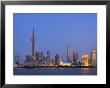 Pudong Skyline, Shanghai, China by Michele Falzone Limited Edition Print