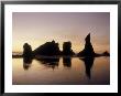 Silhouette Of A Rock Formation, Brandon, Oregon by Scott Berner Limited Edition Print