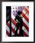 Us Flag With Silhouetted Statue Of Soldier by Whitney & Irma Sevin Limited Edition Print