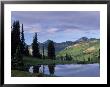 Sky And Tree Reflected In River, Gunnison Nf, Co by Don Grall Limited Edition Pricing Art Print