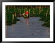 Flora And People Of The Mekong Delta, An Giang, Vietnam by John Banagan Limited Edition Pricing Art Print