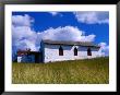 Old Church In Field, Cat Island, Bahamas by Greg Johnston Limited Edition Print