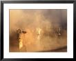 Dusty Cattle Muster, Cape York Peninsula, Australia by Oliver Strewe Limited Edition Print