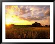 Sunset Over Salt Marsh, Essex, Ma by Kindra Clineff Limited Edition Print