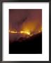Forest Fire, Gombe National Park, Tanzania by Kristin Mosher Limited Edition Print