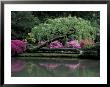 Reflecting Pool And Rhododendrons In Japanese Garden, Seattle, Washington, Usa by Jamie & Judy Wild Limited Edition Print