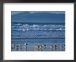Pismo Beach, California, Usa by Nik Wheeler Limited Edition Print