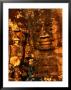 Smiling Lokesvara Bodhisattva Image Adorning The Bayon Temple Of Angkor Thom, Angkor, Cambodia by John Banagan Limited Edition Print