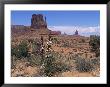Monument Valley, Utah, United States Of America (U.S.A.), North America by Tony Gervis Limited Edition Print