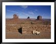 View From Visitors Center, Monument Valley, Arizona by Michael S. Lewis Limited Edition Print