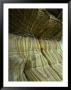 Rock Formation Painted Cliffs, Maria Island, Tasmania, Australia by Rob Blakers Limited Edition Print