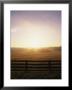 Twilight On A Fenced Grassland by Bill Curtsinger Limited Edition Pricing Art Print