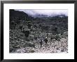 Carrying Equipment Through Desert Landscape, Kilimanjaro by Michael Brown Limited Edition Pricing Art Print