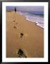 Male Beachcomber, Footprints In The Sand by Jeff Greenberg Limited Edition Print