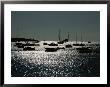An Afternoon Sun Highlights Fishing Boats Docked In Harbor Waters by Stacy Gold Limited Edition Print