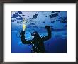 A Diver Suctions Tiny Amphipods From Ice Floe by Paul Nicklen Limited Edition Print