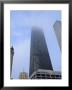 The Sears Tower Looms Above Chicagos City Streets by Joel Sartore Limited Edition Print