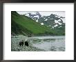 An Adult And Juvenile American Bald Eagle Rest Along The Shoreline by Klaus Nigge Limited Edition Print