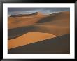 The Vast Dunes Of The Sahara Desert Are Bathed In Evening Light by Peter Carsten Limited Edition Print
