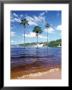 Canaima, Gran Sabana, Venezuela by Sergio Pitamitz Limited Edition Print