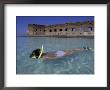 Snorkelling Around Old Fort, Puerto Rico by Greg Johnston Limited Edition Print