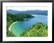 Queen Charlotte Sound, S. Island, New Zealand by Robin Bush Limited Edition Pricing Art Print