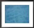 A Thick Piece Of Ice Reflects Blue Light From Its Cracked Surface by Norbert Rosing Limited Edition Pricing Art Print