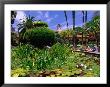 Fountain Of Four Evangelists In Central Courtyard Of San Juan Capistrano, California, Usa by Stephen Saks Limited Edition Print