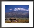 Children Running And Mt. Ararat, Agri, Turkey by Izzet Keribar Limited Edition Pricing Art Print