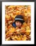 Child Playing In Leaves In Kadriorg Park, Tallinn, Estonia by Jonathan Smith Limited Edition Print