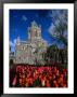 Christ Church Cathedral Surrounded By Tulips In Bloom, Dublin, County Dublin, Ireland, Leinster by Martin Moos Limited Edition Print