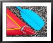 Detail Of Red Kayak And Blue Paddle by David Wall Limited Edition Print