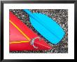 Detail Of Red Kayak And Blue Paddle by David Wall Limited Edition Pricing Art Print