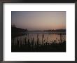 A Marshland Lake At Sunrise Silhouettes Dead Reeds by Stephen St. John Limited Edition Pricing Art Print