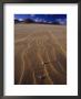 Patterns In Sand Dunes Formed By The Blowing Wind by Jason Edwards Limited Edition Print