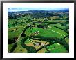 Farmland, Brookby, South Auckland, New Zealand by David Wall Limited Edition Print