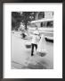Delivery Woman, Hanoi, Vietnam by Walter Bibikow Limited Edition Print
