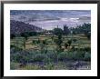 Agriculture Fields, Indus Valley, Pakistan by Gavriel Jecan Limited Edition Print