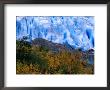 Autumn Colours And Icefall At Briksdalsbreen Glacier, Finnmark, Norway by Anders Blomqvist Limited Edition Print