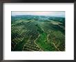 Aerial View Of Pineapple Fields, Maui, Hawaii, Usa by Jeff Greenberg Limited Edition Print