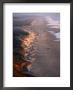 Foggy Coastline, Florence, Usa by John Elk Iii Limited Edition Print