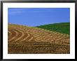 Cut Hayfield And Wheat In The Palouse, Whitman County, Washington, Usa by Julie Eggers Limited Edition Print