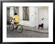 Boy Riding Bike In Front Of House, With Stray Dog, Belize City, Belize by Anthony Plummer Limited Edition Print