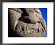 Detail Of Carved Stone Face At San Agustin Archaeological Park, San Agustin, Huila, Colombia by Jane Sweeney Limited Edition Print