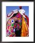 Entrant In Best Dressed Elephant Competition At Annual Elephant Festival, Jaipur, India by Paul Beinssen Limited Edition Print