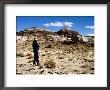 De-Na-Zin Blm Wilderness Area, U.S.A. by Curtis Martin Limited Edition Print
