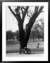 Couple Embracing In A Passionate Moment On The Bench In Hyde Park by Cornell Capa Limited Edition Pricing Art Print
