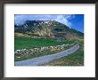 Rural Landscape Near Gavarnie, Midi-Pyrenees, France by Olivier Cirendini Limited Edition Print